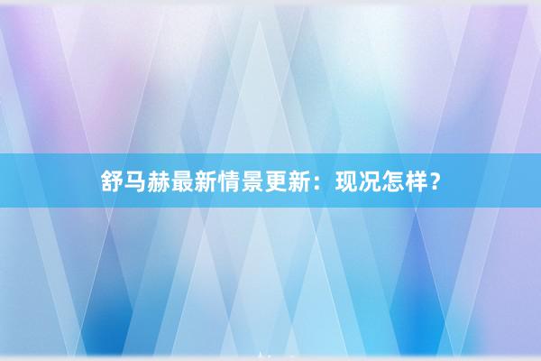 舒马赫最新情景更新：现况怎样？