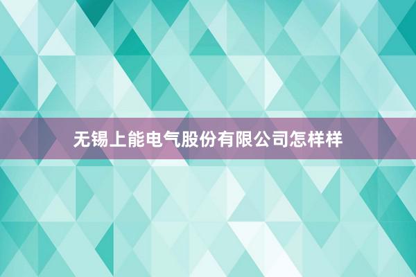 无锡上能电气股份有限公司怎样样