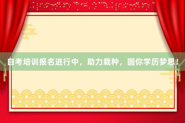 自考培训报名进行中，助力栽种，圆你学历梦思！